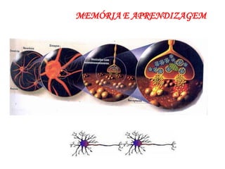MEMÓRIA E APRENDIZAGEM
 