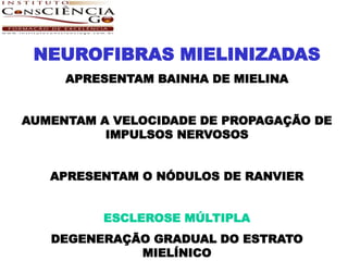 NEUROFIBRAS MIELINIZADAS
     APRESENTAM BAINHA DE MIELINA


AUMENTAM A VELOCIDADE DE PROPAGAÇÃO DE
          IMPULSOS NERVOSOS


   APRESENTAM O NÓDULOS DE RANVIER


          ESCLEROSE MÚLTIPLA
   DEGENERAÇÃO GRADUAL DO ESTRATO
             MIELÍNICO
 