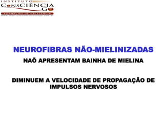 NEUROFIBRAS NÃO-MIELINIZADAS
   NAÕ APRESENTAM BAINHA DE MIELINA


DIMINUEM A VELOCIDADE DE PROPAGAÇÃO DE
          IMPULSOS NERVOSOS
 
