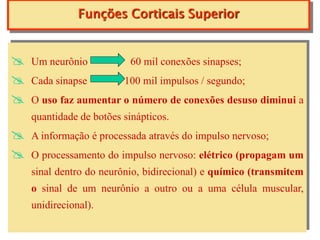 Funções Corticais Superior


   Um neurônio            60 mil conexões sinapses;
   Cada sinapse         100 mil impulsos / segundo;
   O uso faz aumentar o número de conexões desuso diminui a
    quantidade de botões sinápticos.
   A informação é processada através do impulso nervoso;
   O processamento do impulso nervoso: elétrico (propagam um
    sinal dentro do neurônio, bidirecional) e químico (transmitem
    o sinal de um neurônio a outro ou a uma célula muscular,
    unidirecional).
 