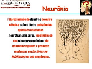 Neurônio
 Aproximando do dendrito de outra
 célula,o axônio libera substâncias
        químicas chamadas
 neurotransmissores, que ligam-se
    aos receptores químicos do
   neurônio seguinte e promove
     mudanças excita tórias ou
   inibitórias em sua membrana..
 
