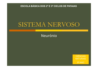 ESCOLA BÁSICA DOS 2º E 3º CICLOS DE PATAIAS

SISTEMA NERVOSO
Neurónio

CIÊNCIAS
NATURAIS
9º ANO

 