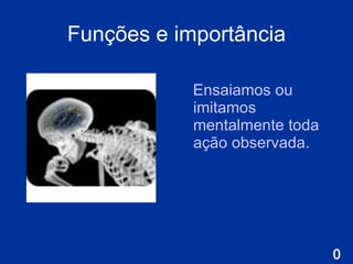 Funções e importância E nsaiamos ou imitamos mentalmente toda ação observada. 
