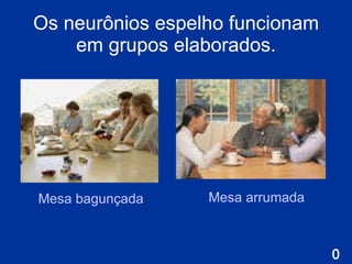 Os neurônios espelho funcionam em grupos elaborados. M esa arrumada M esa bagunçada 