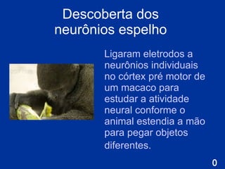 Descoberta dos  neurônios espelho   L igaram eletrodos a neurônios individuais no córtex pré motor de um macaco para estudar a atividade neural conforme o animal estendia a mão para pegar objetos diferentes.   