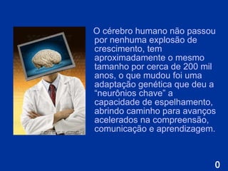 O cérebro humano não passou por nenhuma explosão de crescimento, tem aproximadamente o mesmo tamanho por cerca de 200 mil anos, o que mudou foi uma adaptação genética que deu a  “ neurônios chave ”  a capacidade de espelhamento, abrindo caminho para avanços acelerados na   compreensão, comunicação e aprendizagem. 