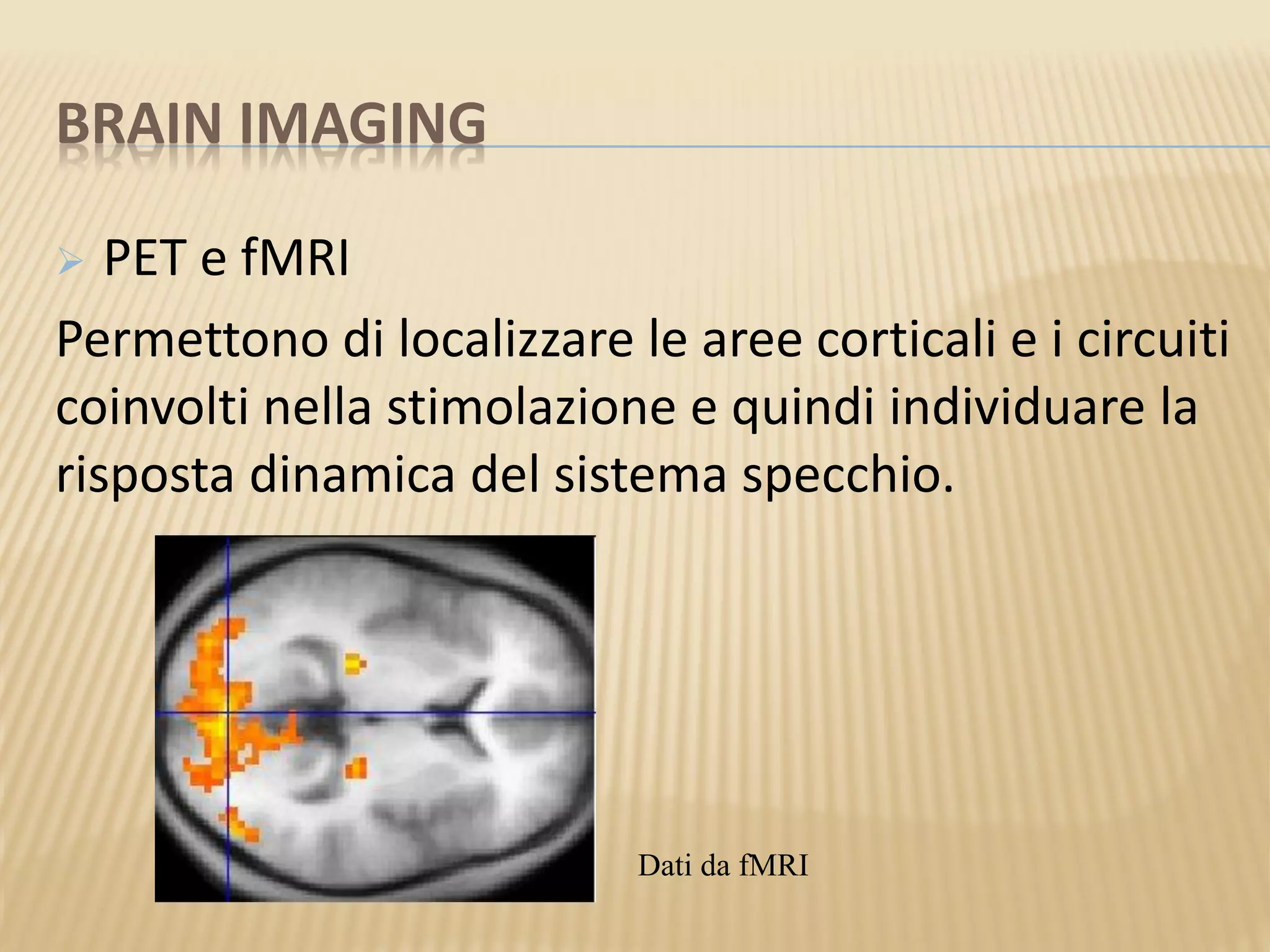 BRAIN IMAGING
 PET e fMRI
Permettono di localizzare le aree corticali e i circuiti
coinvolti nella stimolazione e quindi individuare la
risposta dinamica del sistema specchio.
Dati da fMRI
 