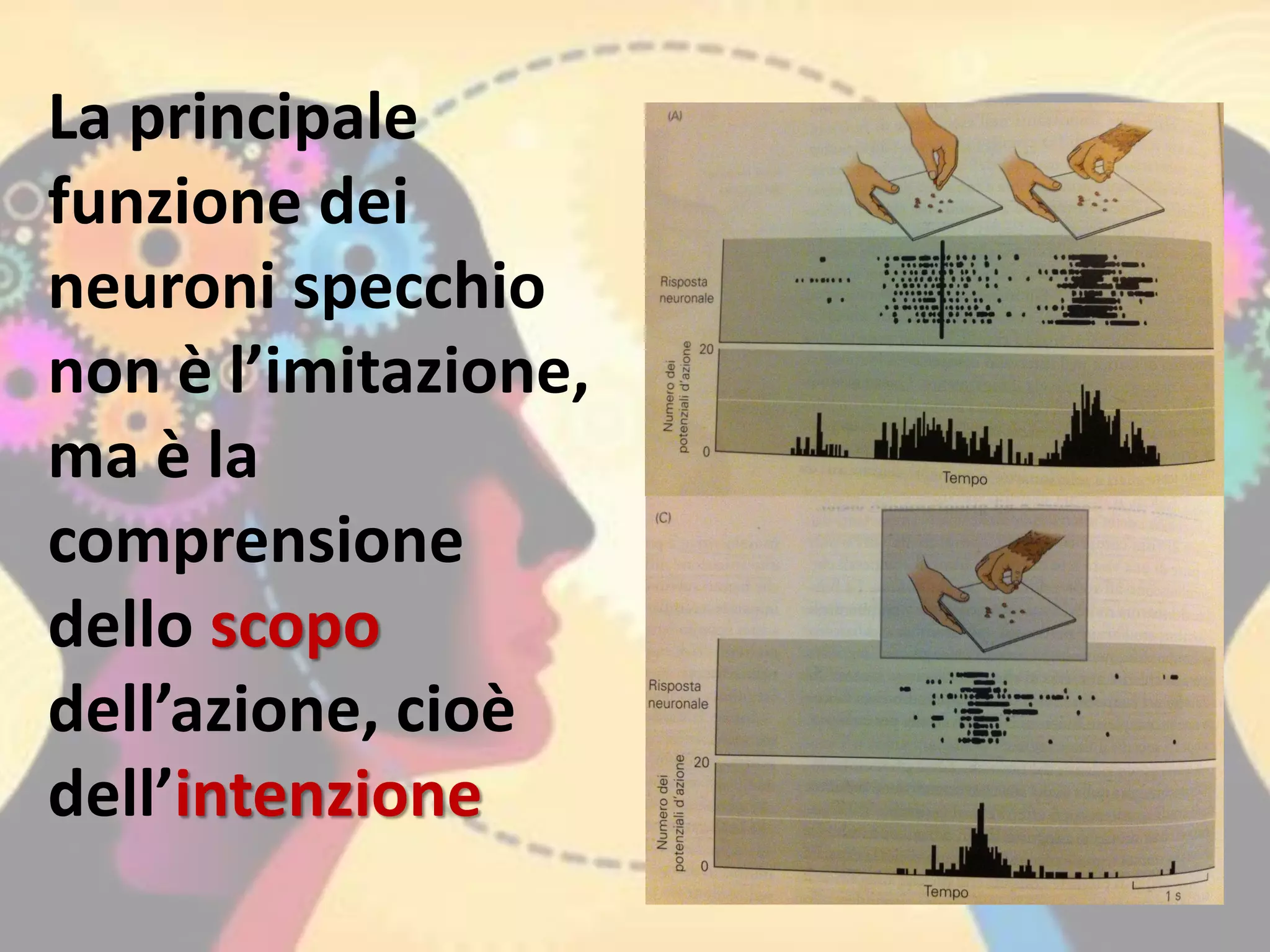 La principale
funzione dei
neuroni specchio
non è l’imitazione,
ma è la
comprensione
dello scopo
dell’azione, cioè
dell’intenzione
 