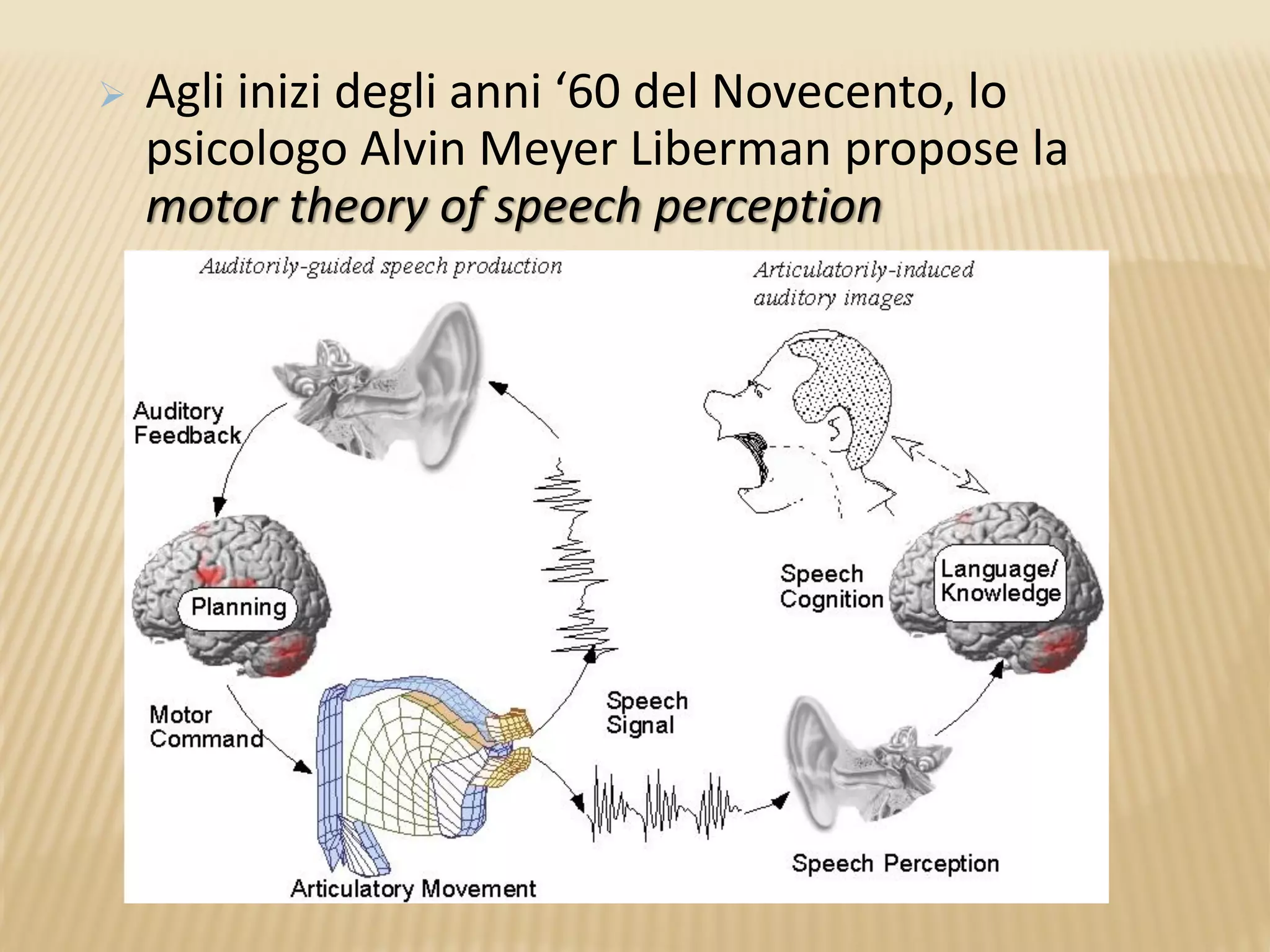  Agli inizi degli anni ‘60 del Novecento, lo
psicologo Alvin Meyer Liberman propose la
motor theory of speech perception
 