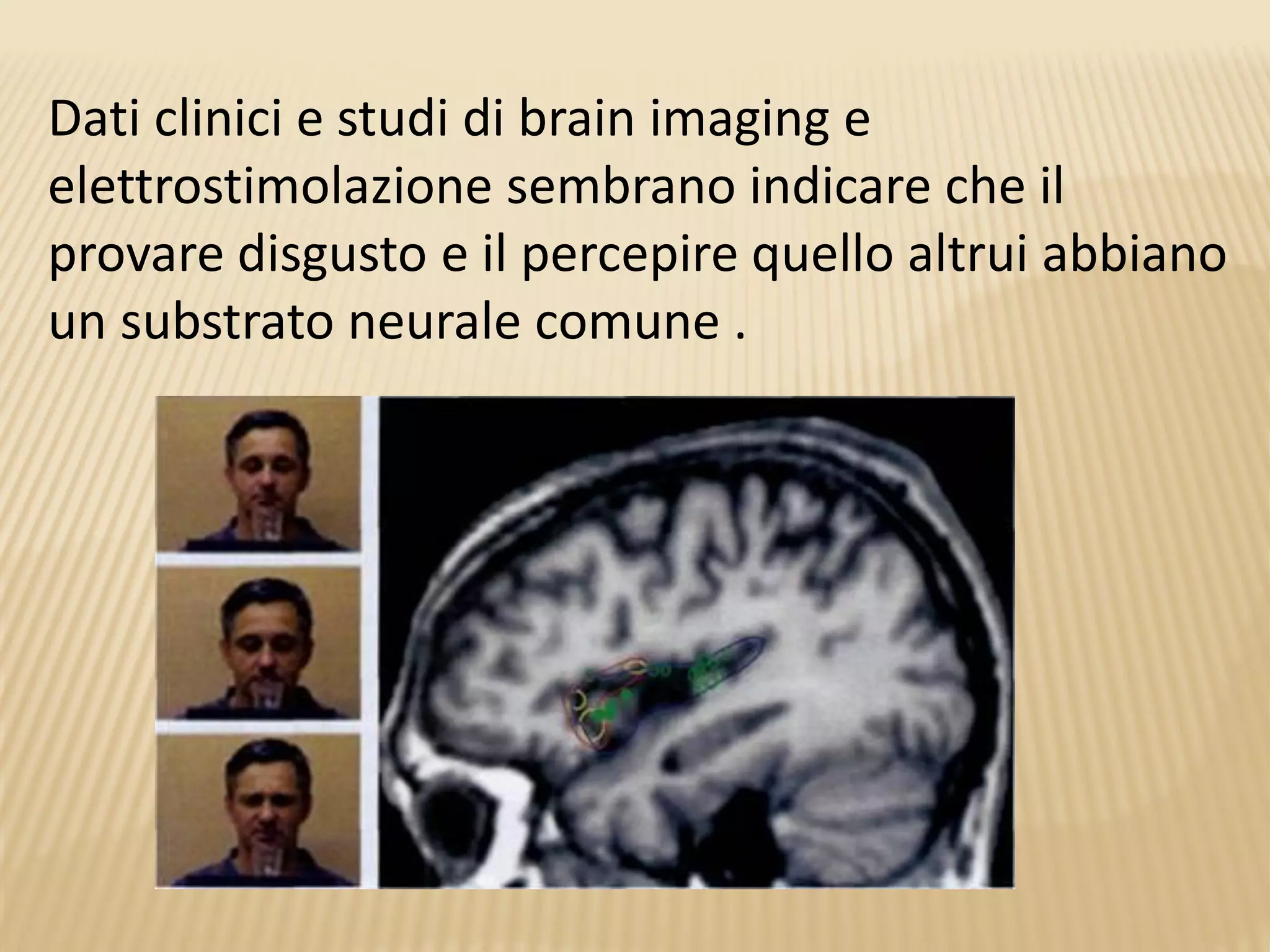 Dati clinici e studi di brain imaging e
elettrostimolazione sembrano indicare che il
provare disgusto e il percepire quello altrui abbiano
un substrato neurale comune .
 