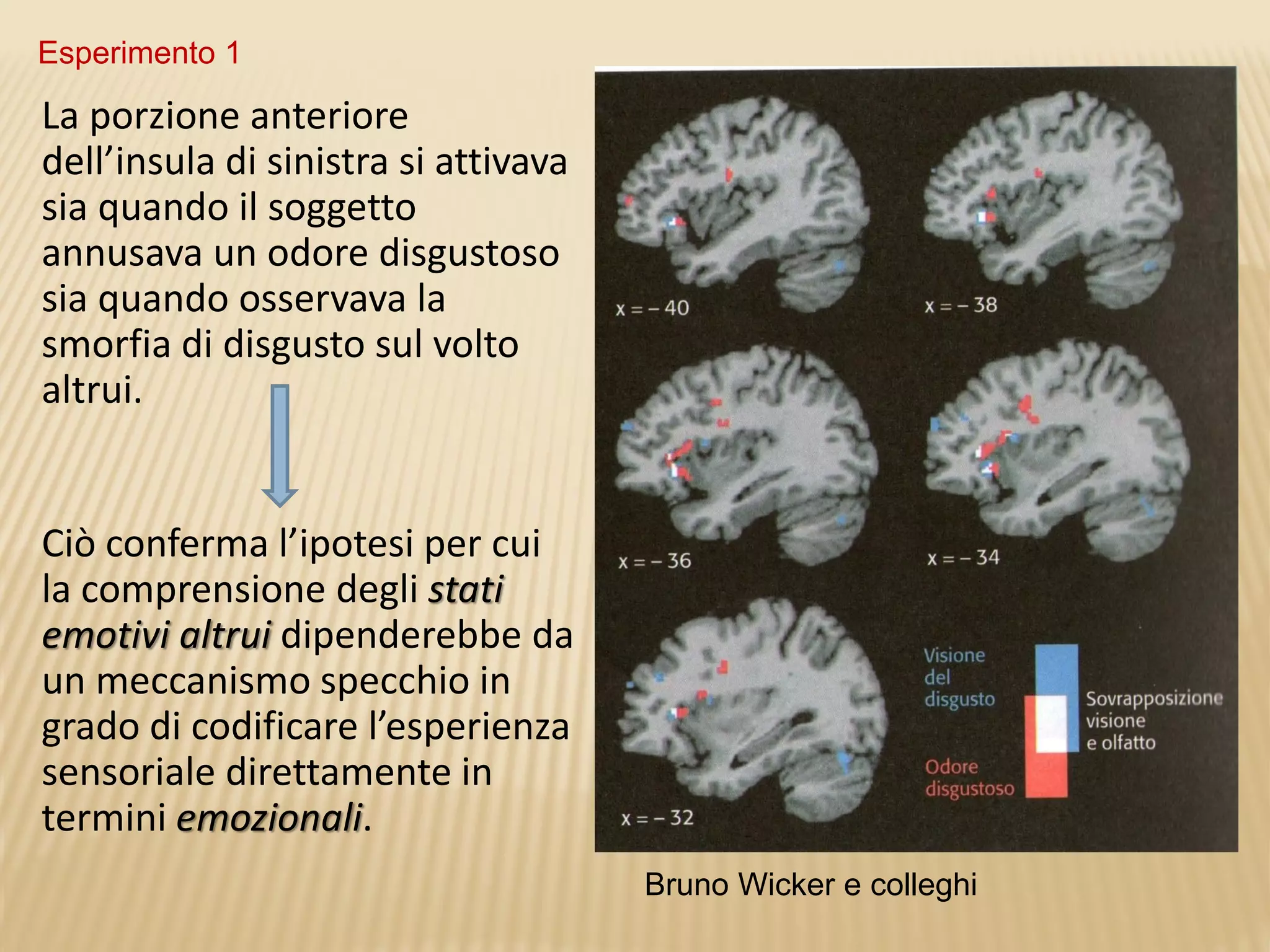 La porzione anteriore
dell’insula di sinistra si attivava
sia quando il soggetto
annusava un odore disgustoso
sia quando osservava la
smorfia di disgusto sul volto
altrui.
Ciò conferma l’ipotesi per cui
la comprensione degli stati
emotivi altrui dipenderebbe da
un meccanismo specchio in
grado di codificare l’esperienza
sensoriale direttamente in
termini emozionali.
Bruno Wicker e colleghi
Esperimento 1
 
