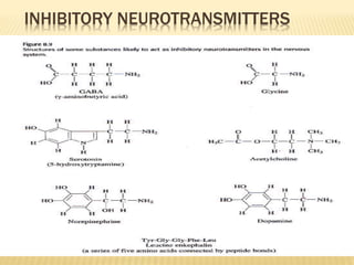 INHIBITORY NEUROTRANSMITTERS
 