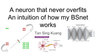 A neuron that never overfits
An intuition of how my BSnet
works
Tan Sing Kuang
 