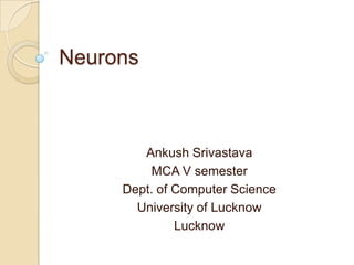 Neurons



        Ankush Srivastava
          MCA V semester
     Dept. of Computer Science
       University of Lucknow
              Lucknow
 