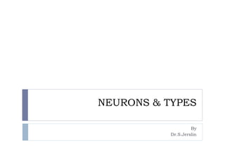 NEURONS & TYPES
By
Dr.S.Jerslin
 