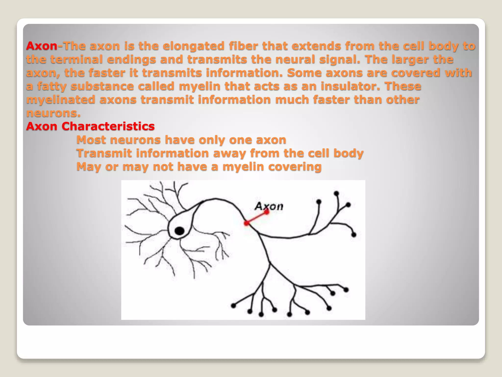 Neurons and its structure | PPTX