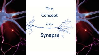 Neurons and Synapse pdf.pdf