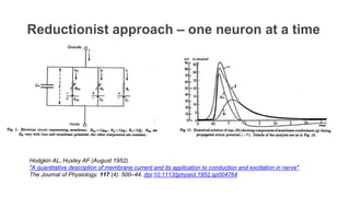 Reductionist approach – one neuron at a time
Hodgkin AL, Huxley AF (August 1952).
"A quantitative description of membrane current and its application to conduction and excitation in nerve".
The Journal of Physiology. 117 (4): 500–44. doi:10.1113/jphysiol.1952.sp004764
 