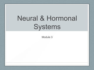Neural & Hormonal Systems Module 3 