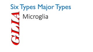 Glia Microglia
Six Types Major Types
 