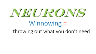 Winnowing =
Neurons
throwing out what you don’t need
 