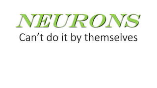 Can’t do it by themselves
Neurons
 