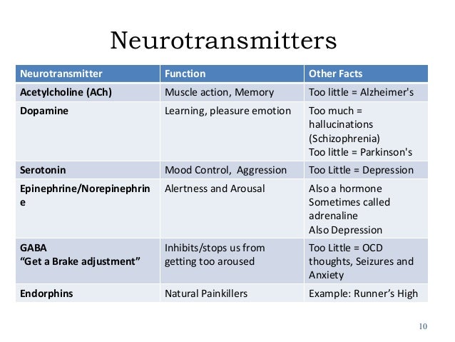 how control anxiety ss Neurons how control anxiety ss Neurons