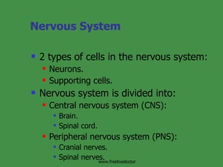 Nervous System ,[object Object],[object Object],[object Object],[object Object],[object Object],[object Object],[object Object],[object Object],[object Object],[object Object],www.freelivedoctor 