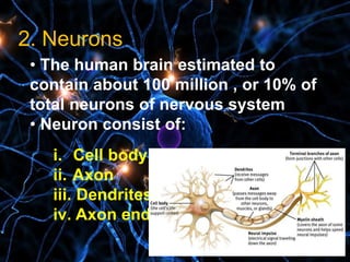 2. Neurons
• The human brain estimated to
contain about 100 million , or 10% of
total neurons of nervous system
• Neuron consist of:
i. Cell body
ii. Axon
iii. Dendrites
iv. Axon ends
 