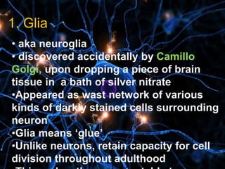 1
1. Glia
• aka neuroglia
• discovered accidentally by Camillo
Golgi, upon dropping a piece of brain
tissue in a bath of silver nitrate
•Appeared as wast network of various
kinds of darkly stained cells surrounding
neuron
•Glia means ‘glue’
•Unlike neurons, retain capacity for cell
division throughout adulthood
 