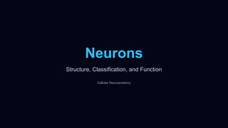 Neuron Structure and Function for uni students | PPTX