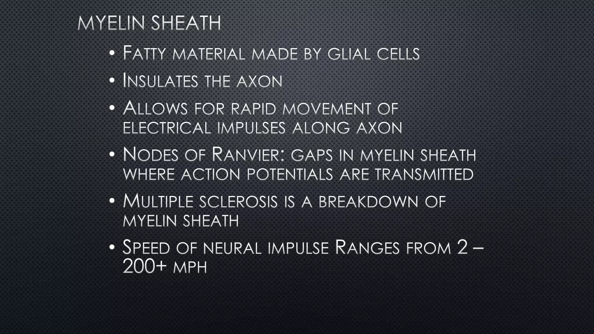 •
•
•
•
•
•