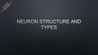Neuron structure and types | PPT