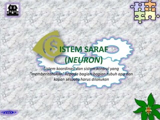 ISTEM SARAF
(NEURON)
Sistem koordinasi dan sistem kontrol yang
“memberitahukan” kepada bagian-bagian tubuh apa dan
kapan sesuatu harus dilakukan

 