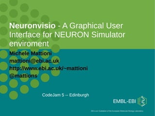 Neuronvisio - A Graphical User
Interface for NEURON Simulator
enviroment
Michele Mattioni
mattioni@ebi.ac.uk
http://www.ebi.ac.uk/~mattioni
@mattions


            CodeJam 5 -- Edinburgh


                                     EBI is an Outstation of the European Molecular Biology Laboratory.
 