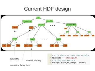 Current HDF design




NeuroML
                Numerical Array

Numerical Array: time
 
