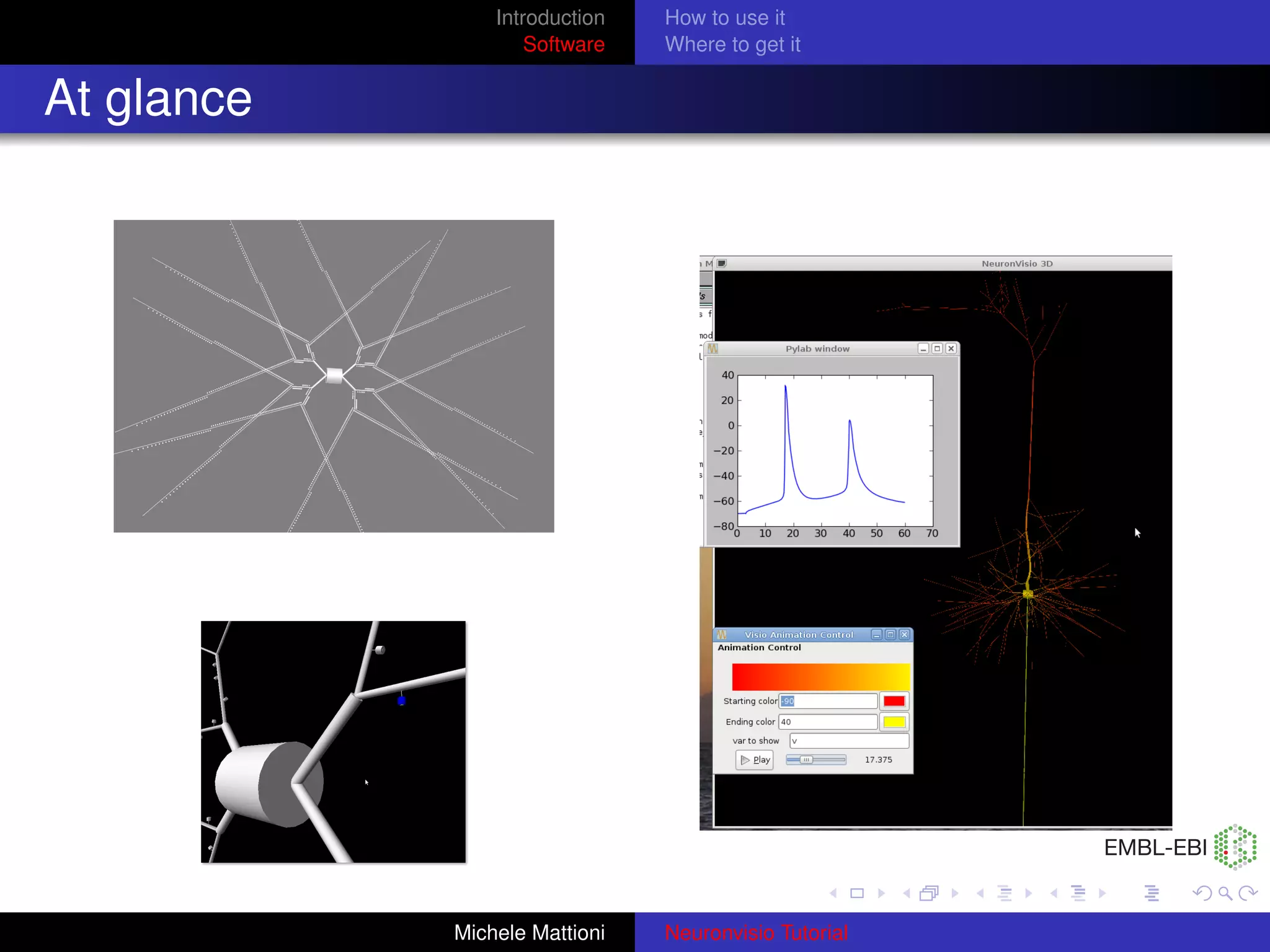 Introduction   How to use it
                    Software   Where to get it


At glance




            Michele Mattioni   Neuronvisio Tutorial
 