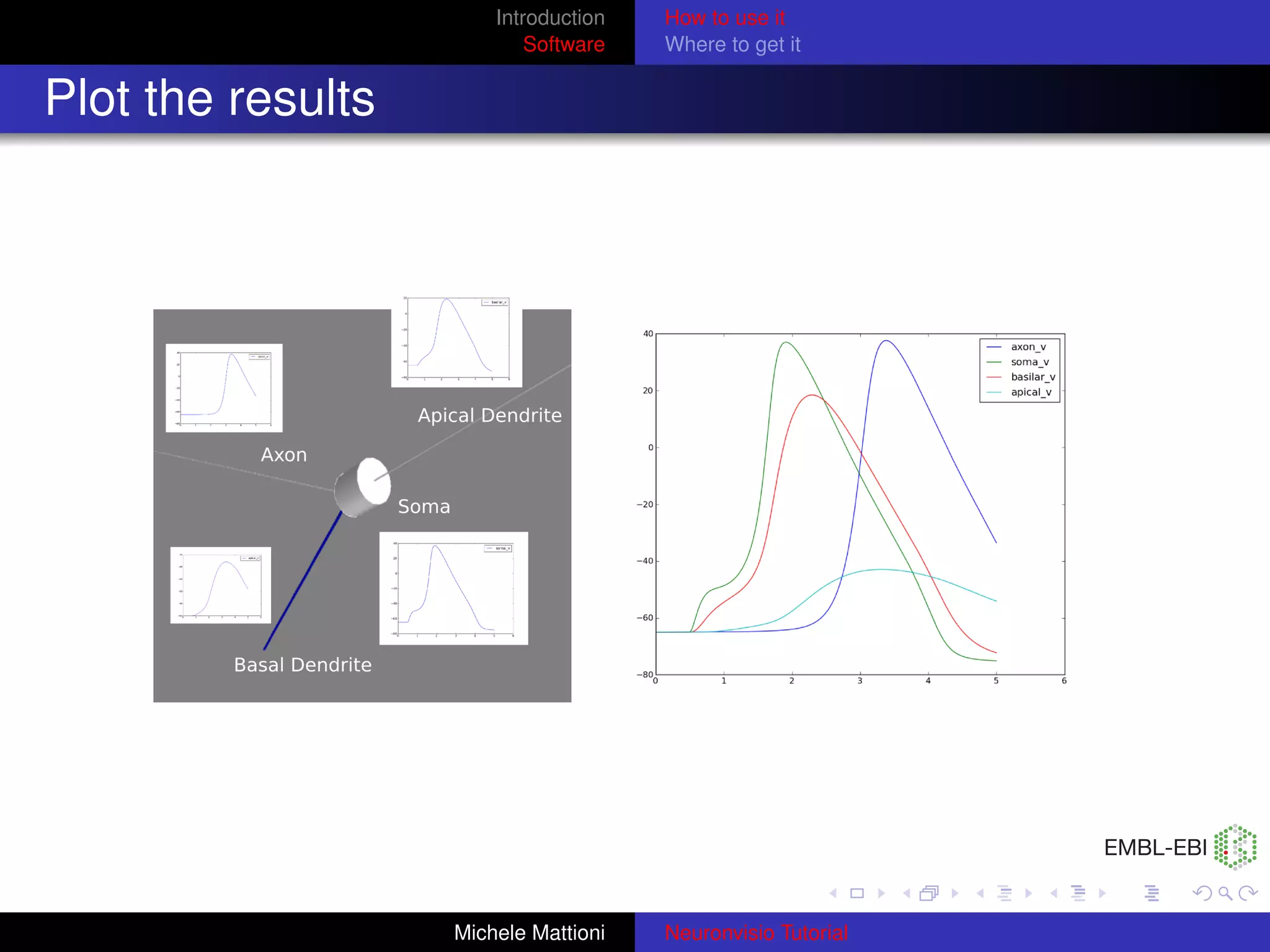 Introduction   How to use it
                           Software   Where to get it


Plot the results




                   Michele Mattioni   Neuronvisio Tutorial
 