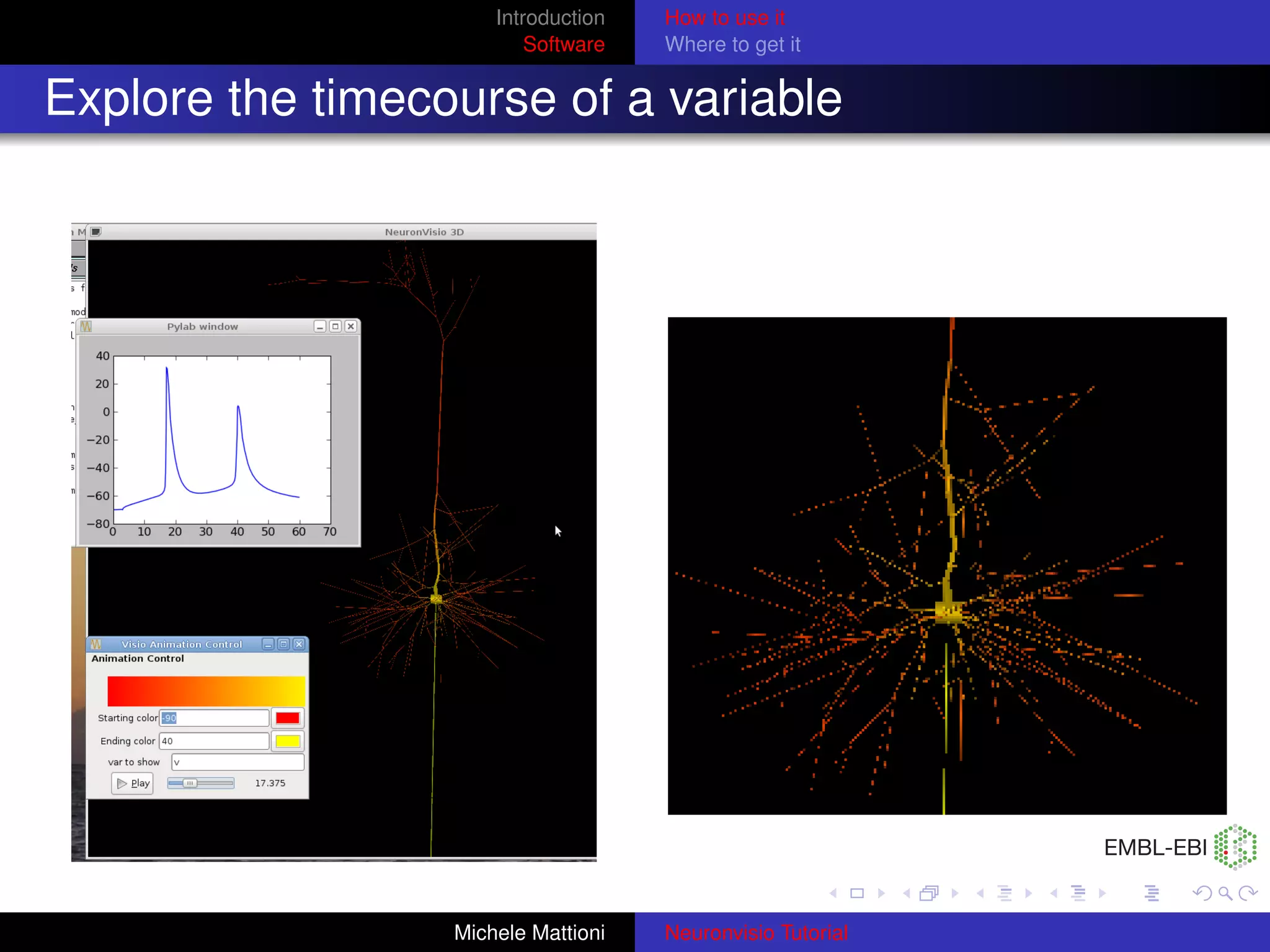Introduction   How to use it
                          Software   Where to get it


Explore the timecourse of a variable




                  Michele Mattioni   Neuronvisio Tutorial
 