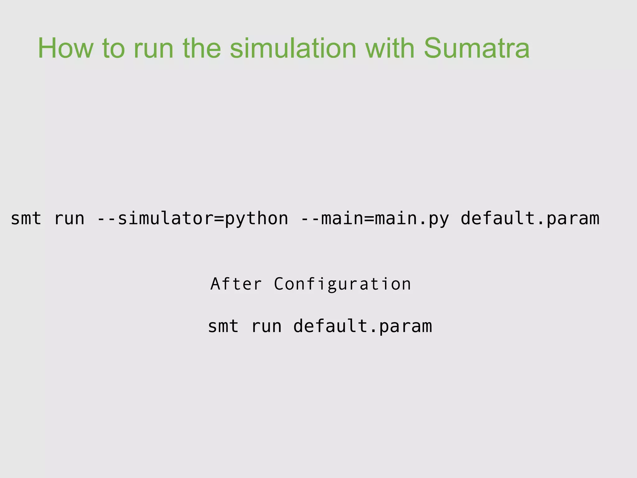 The tree in details - geometry geometry leaf:  NeuroML rep of the model 