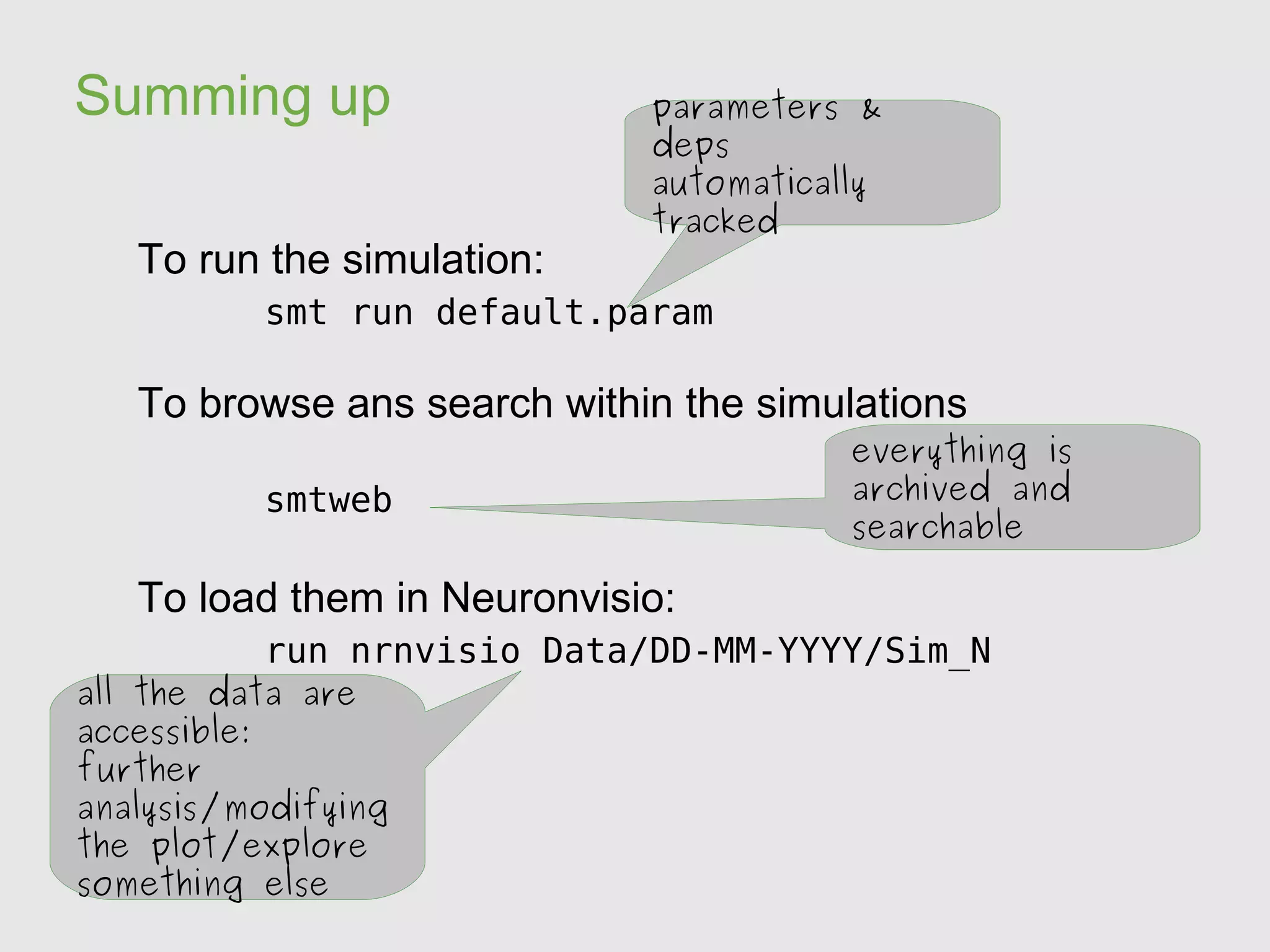Second area to tackle Neuronvisio Computed Results Simulations Details 