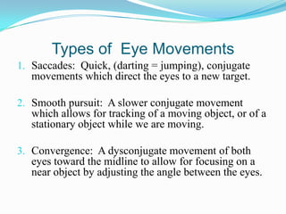 Types of Eye Movements
1. Saccades: Quick, (darting = jumping), conjugate
   movements which direct the eyes to a new target.

2. Smooth pursuit: A slower conjugate movement
   which allows for tracking of a moving object, or of a
   stationary object while we are moving.

3. Convergence: A dysconjugate movement of both
   eyes toward the midline to allow for focusing on a
   near object by adjusting the angle between the eyes.
 
