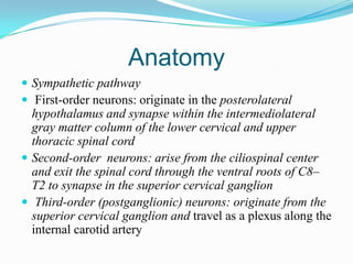 Anatomy
 Sympathetic pathway
 First-order neurons: originate in the posterolateral
  hypothalamus and synapse within the intermediolateral
  gray matter column of the lower cervical and upper
  thoracic spinal cord
 Second-order neurons: arise from the ciliospinal center
  and exit the spinal cord through the ventral roots of C8–
  T2 to synapse in the superior cervical ganglion
 Third-order (postganglionic) neurons: originate from the
  superior cervical ganglion and travel as a plexus along the
  internal carotid artery
 