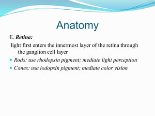 Anatomy
E. Retina:
light first enters the innermost layer of the retina through
    the ganglion cell layer
 Rods: use rhodopsin pigment; mediate light perception
 Cones: use iodopsin pigment; mediate color vision
 