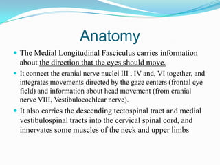 Anatomy
 The Medial Longitudinal Fasciculus carries information
  about the direction that the eyes should move.
 It connect the cranial nerve nuclei III , IV and, VI together, and
  integrates movements directed by the gaze centers (frontal eye
  field) and information about head movement (from cranial
  nerve VIII, Vestibulocochlear nerve).
 It also carries the descending tectospinal tract and medial
  vestibulospinal tracts into the cervical spinal cord, and
  innervates some muscles of the neck and upper limbs
 