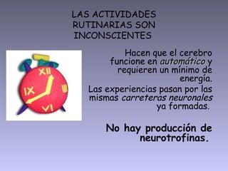 LAS ACTIVIDADES
RUTINARIAS SON
INCONSCIENTES
Hacen que el cerebro
funcione en automáticoautomático y
requieren un mínimo de
energía.
Las experiencias pasan por las
mismas carreteras neuronales
ya formadas.
No hay producción de
neurotrofinas.
 