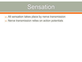  All sensation takes place by nerve transmission
 Nerve transmission relies on action potentials
 