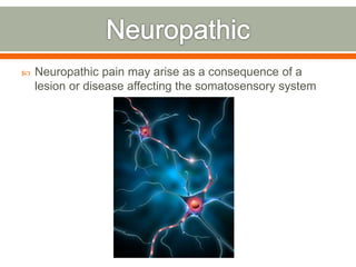  Neuropathic pain may arise as a consequence of a
lesion or disease affecting the somatosensory system
 