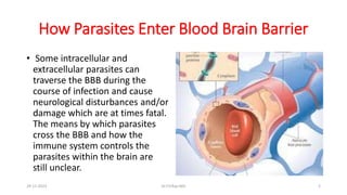 How Parasites Enter Blood Brain Barrier
• Some intracellular and
extracellular parasites can
traverse the BBB during the
course of infection and cause
neurological disturbances and/or
damage which are at times fatal.
The means by which parasites
cross the BBB and how the
immune system controls the
parasites within the brain are
still unclear.
29-11-2023 Dr.T.V.Rao MD 2
 