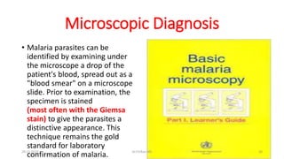 Microscopic Diagnosis
• Malaria parasites can be
identified by examining under
the microscope a drop of the
patient's blood, spread out as a
"blood smear" on a microscope
slide. Prior to examination, the
specimen is stained
(most often with the Giemsa
stain) to give the parasites a
distinctive appearance. This
technique remains the gold
standard for laboratory
confirmation of malaria.
29-11-2023 Dr.T.V.Rao MD 20
 
